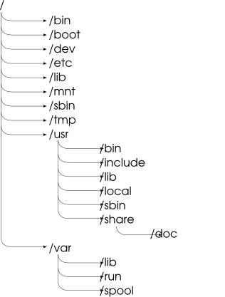 Стандартные каталоги в файловой системе UNIX