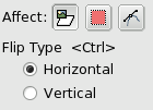 Flip Tool Options