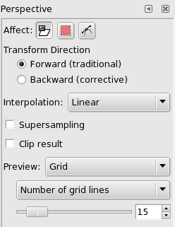 Perspective tool options