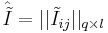  \hat {\tilde I} = || {\tilde I}_{ij}||_{q \times l}