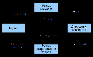 Взаимодействие между субъектами рыночной экономики описывает модель кругооборота ресурсов и доходов